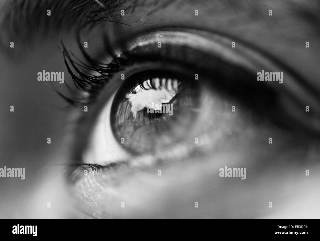 Human Eye Black And White Stock Photos Images Alamy