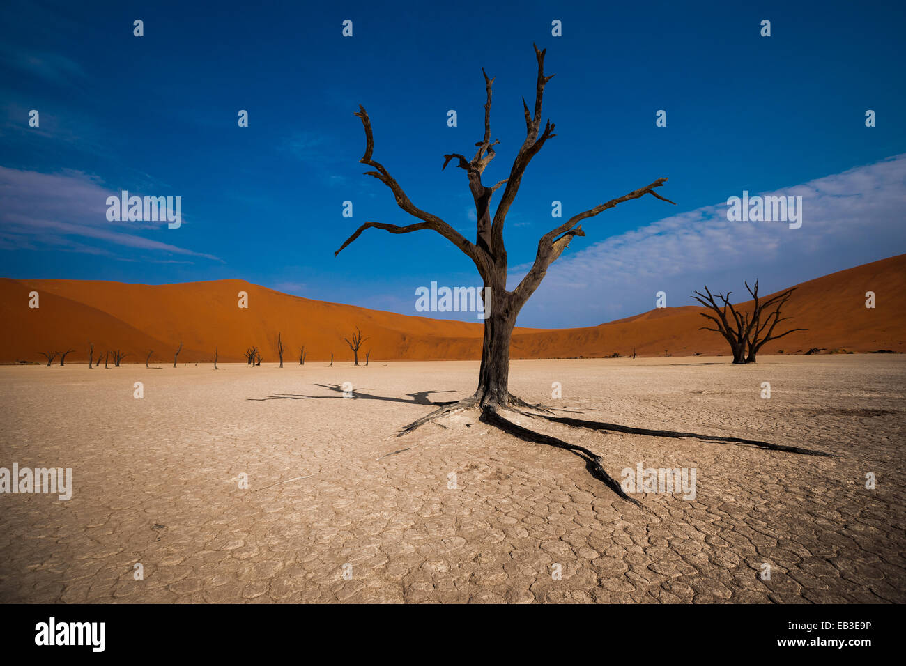 Namibia, Hardap Region, Namib Naukluft National Park, Sossusvlei, Deadvlei Stock Photo
