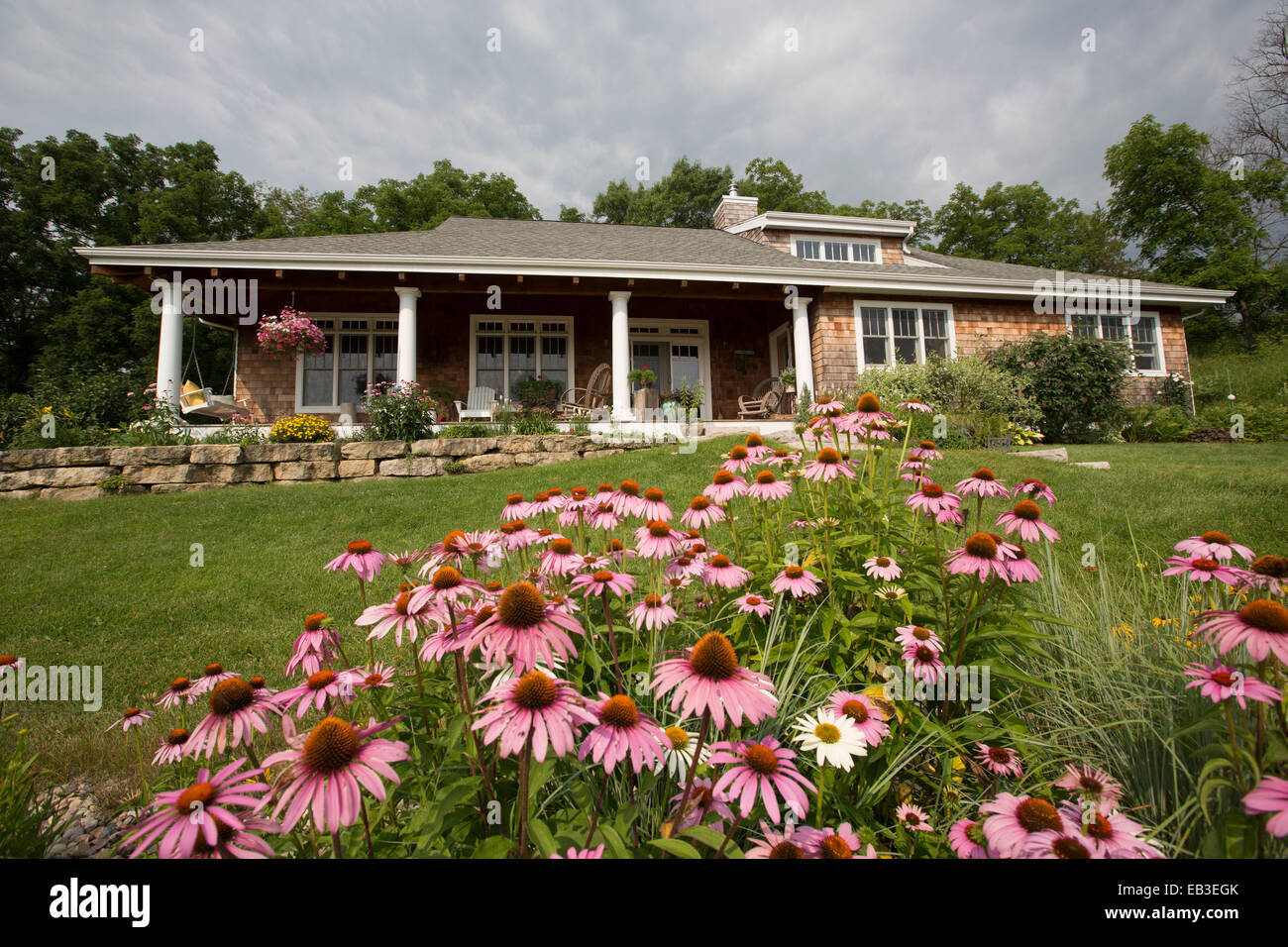 Flowers growing in front lawn of house Stock Photo