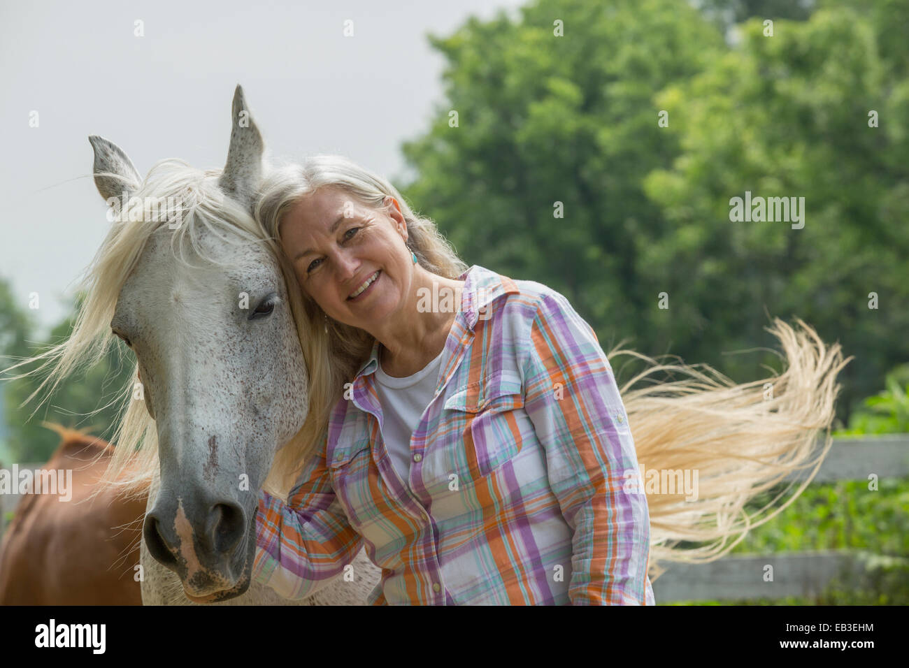 Older Caucasian woman petting horse outdoors Stock Photo