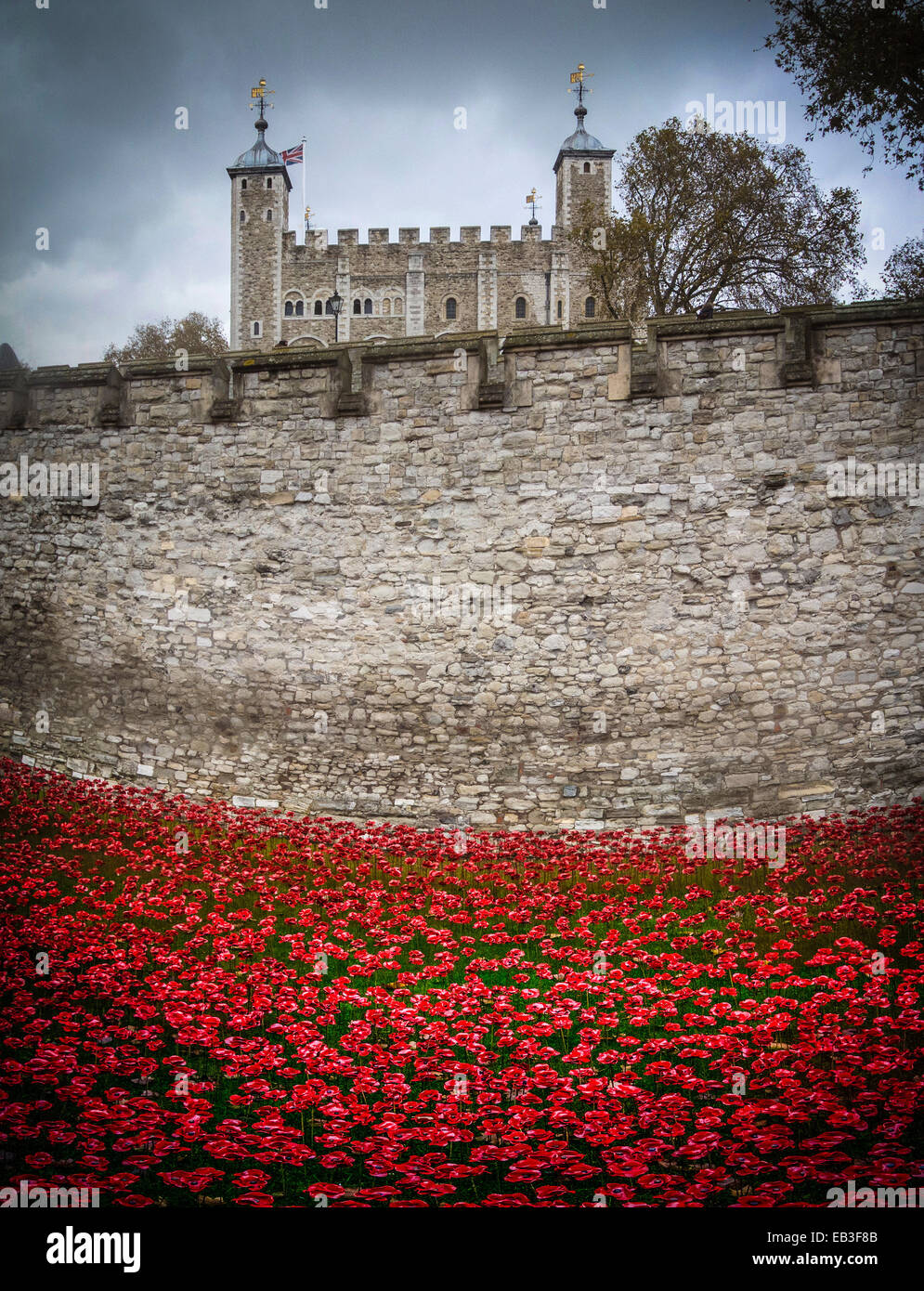 Blood Swept Lands and Seas of Red art installation at the Tower of London. 888,246 ceramic poppies planted in the Tower's moat. Stock Photo