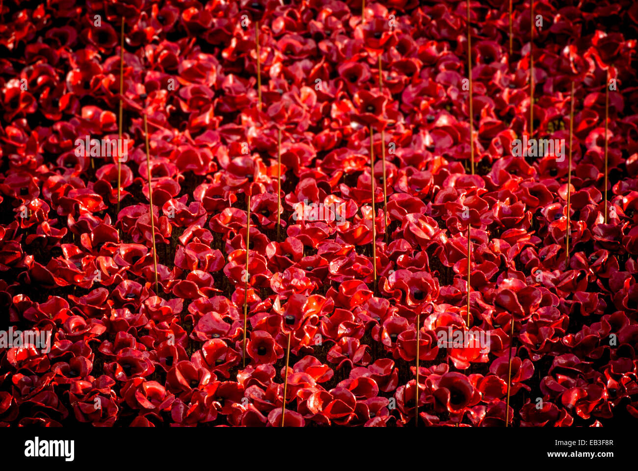 Blood Swept Lands and Seas of Red art installation at the Tower of London. 888,246 ceramic poppies planted in the Tower's moat. Stock Photo