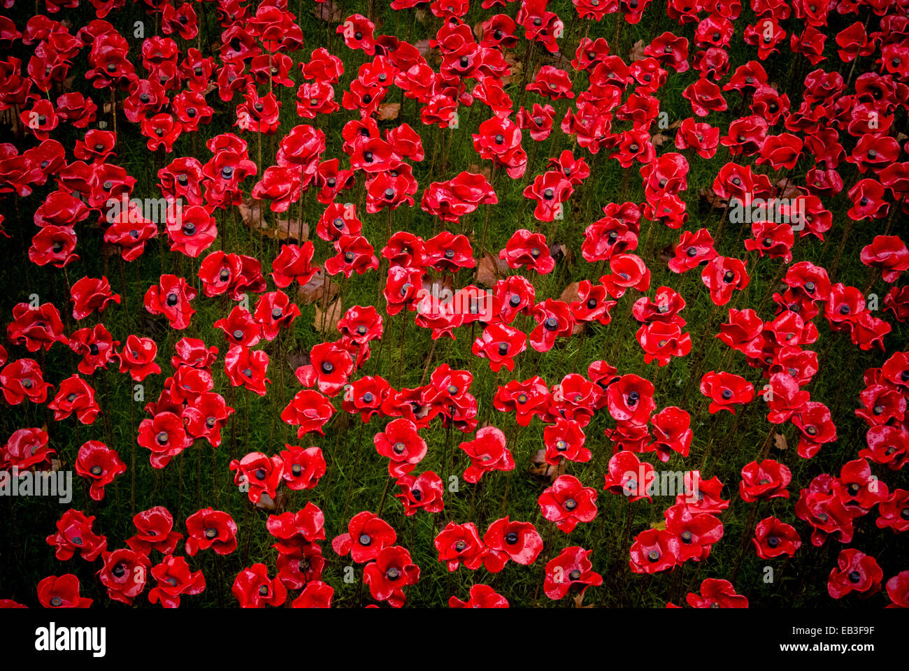 Blood Swept Lands and Seas of Red art installation at the Tower of London. 888,246 ceramic poppies planted in the Tower's moat. Stock Photo