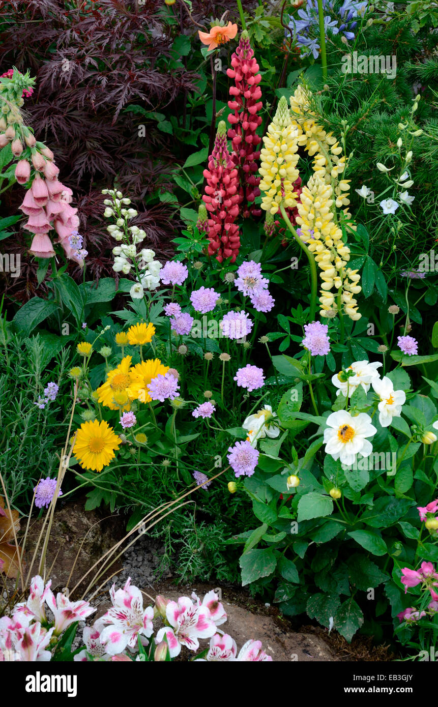A colourful border with wild planting of mixed flowers Stock Photo