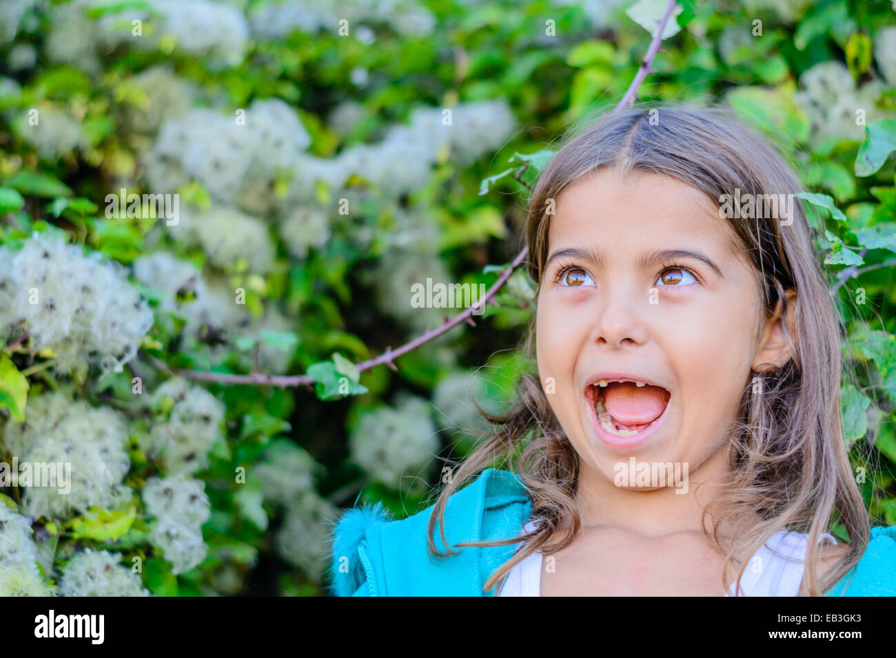 Surprised little girl Stock Photo