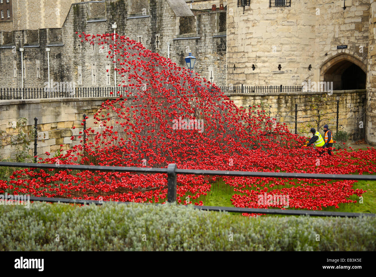 The Wave, poppy display at the Tower of London Stock Photo Alamy
