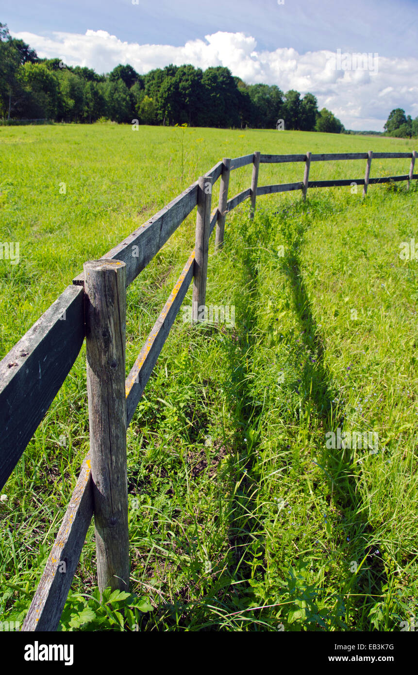 wooden fence on grassland in summer time farm Stock Photo - Alamy