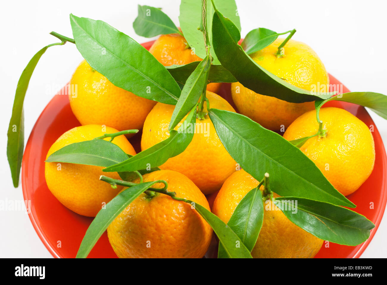 Orange mandarin / clementine / tangerine with green leafs Stock Photo