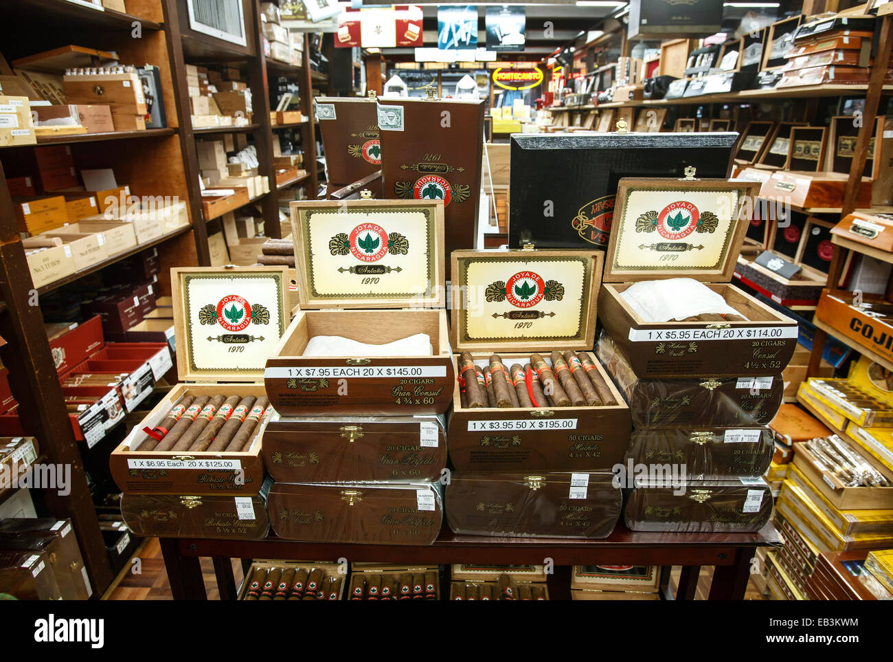 Cigars in humidor, The Cigar House, Old San Juan, Puerto Rico Stock
