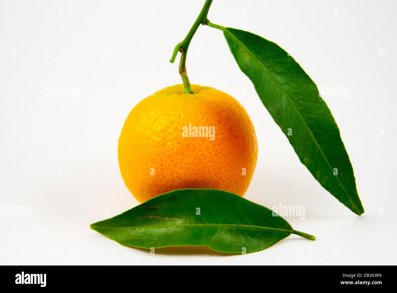 Orange mandarin / clementine / tangerine with green leaf Stock Photo
