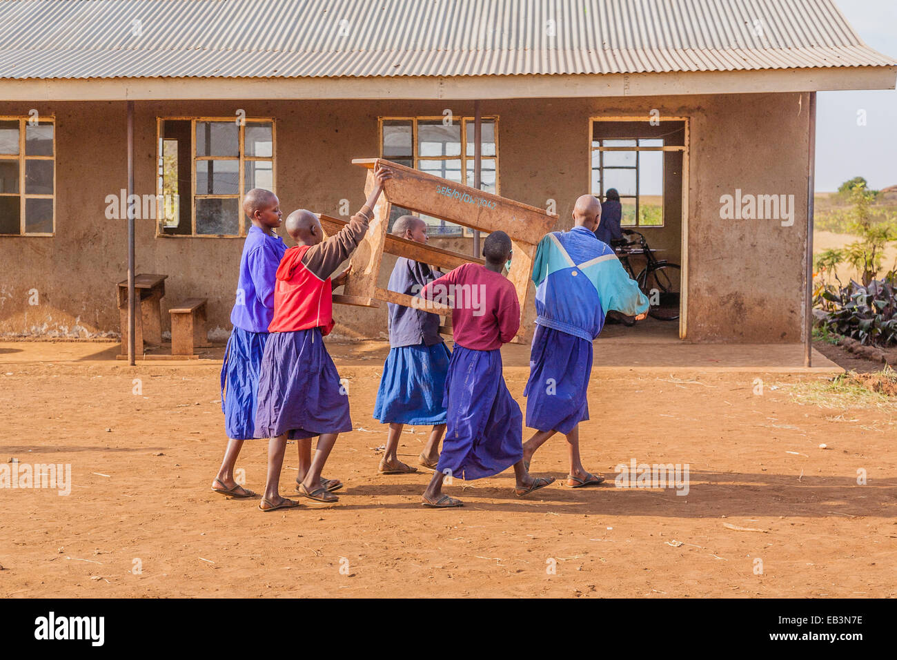 A group of African Maasai school children moving a desk outside their primary school in Northern Tanzania. Stock Photo