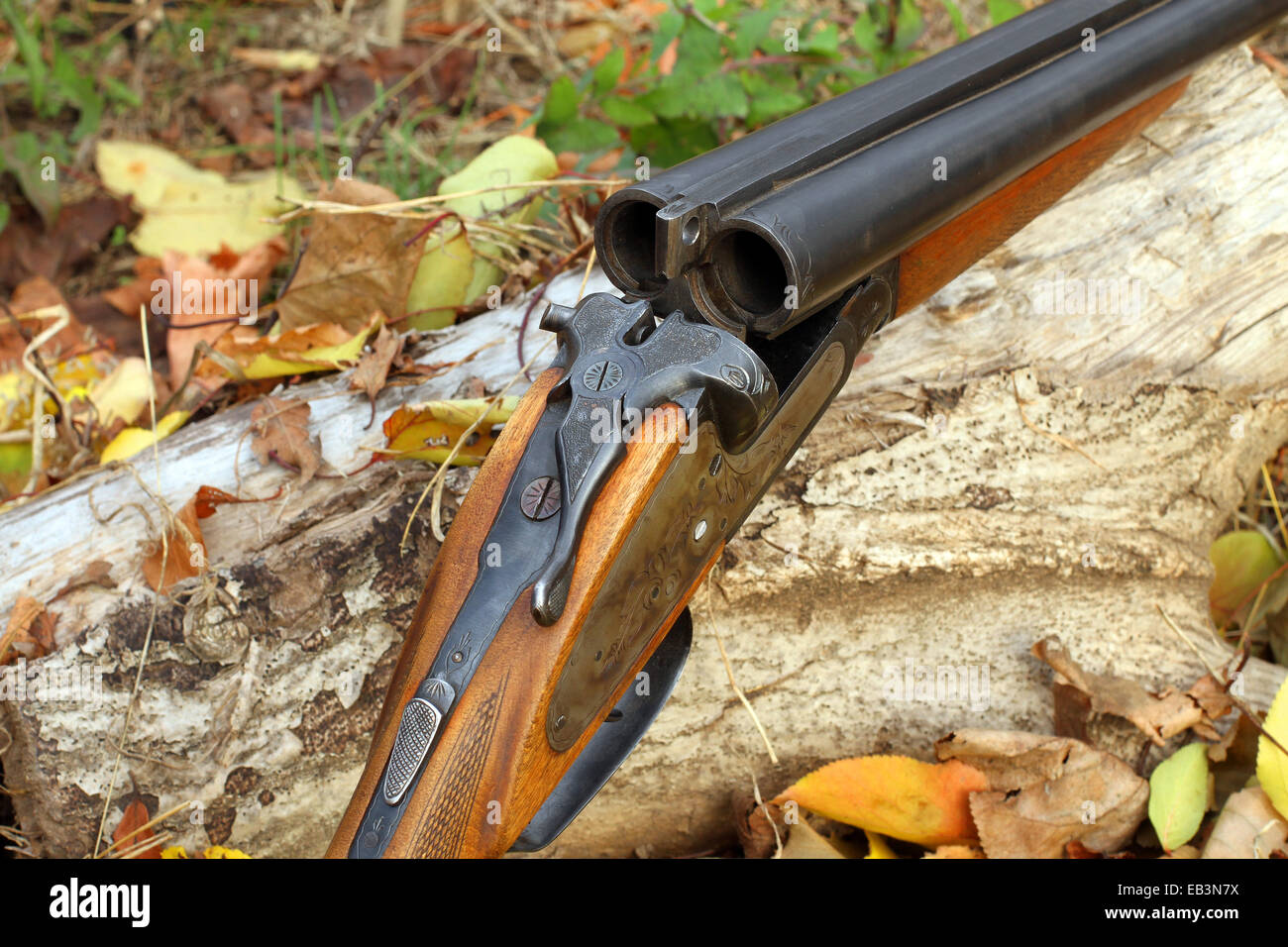A wooden retro shotgun in autumn style Stock Photo - Alamy