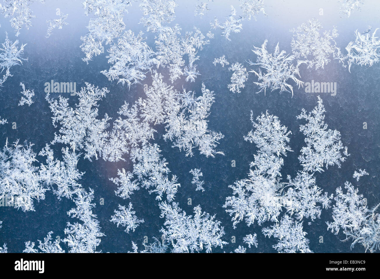 sunlight spots and frosty pattern on window at winter dawn Stock Photo ...