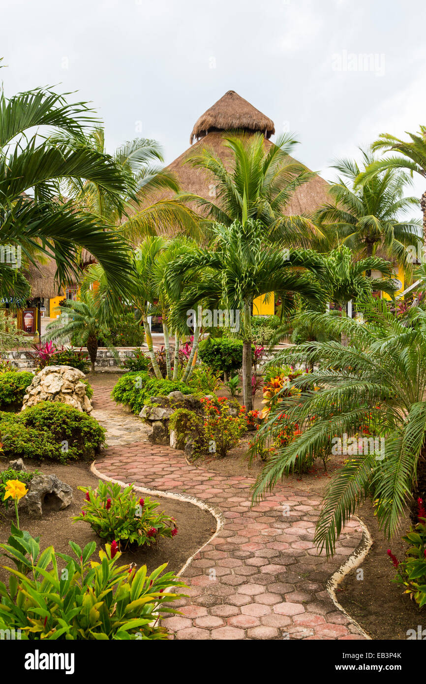 A tropical garden at the cruise ship terminal in Puerta Maya, Cozumel, Mexico. Stock Photo