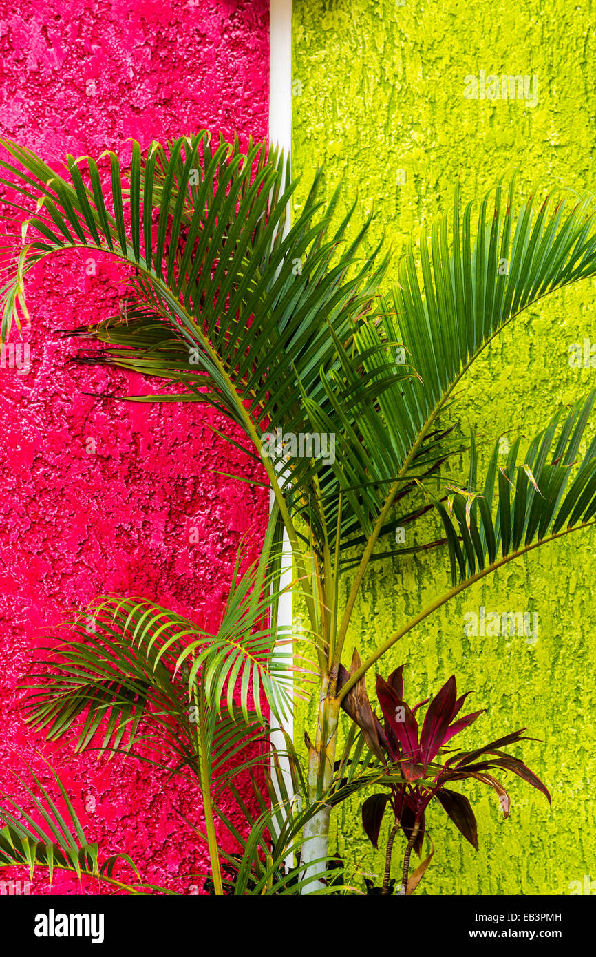The colors of Mexico at the cruise ship terminal Puerta Maya in Cozumel, Mexico. Stock Photo