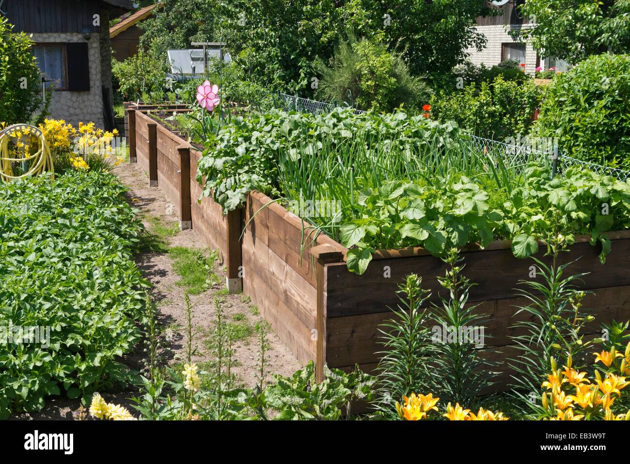 Raised beds in an allotment garden Stock Photo