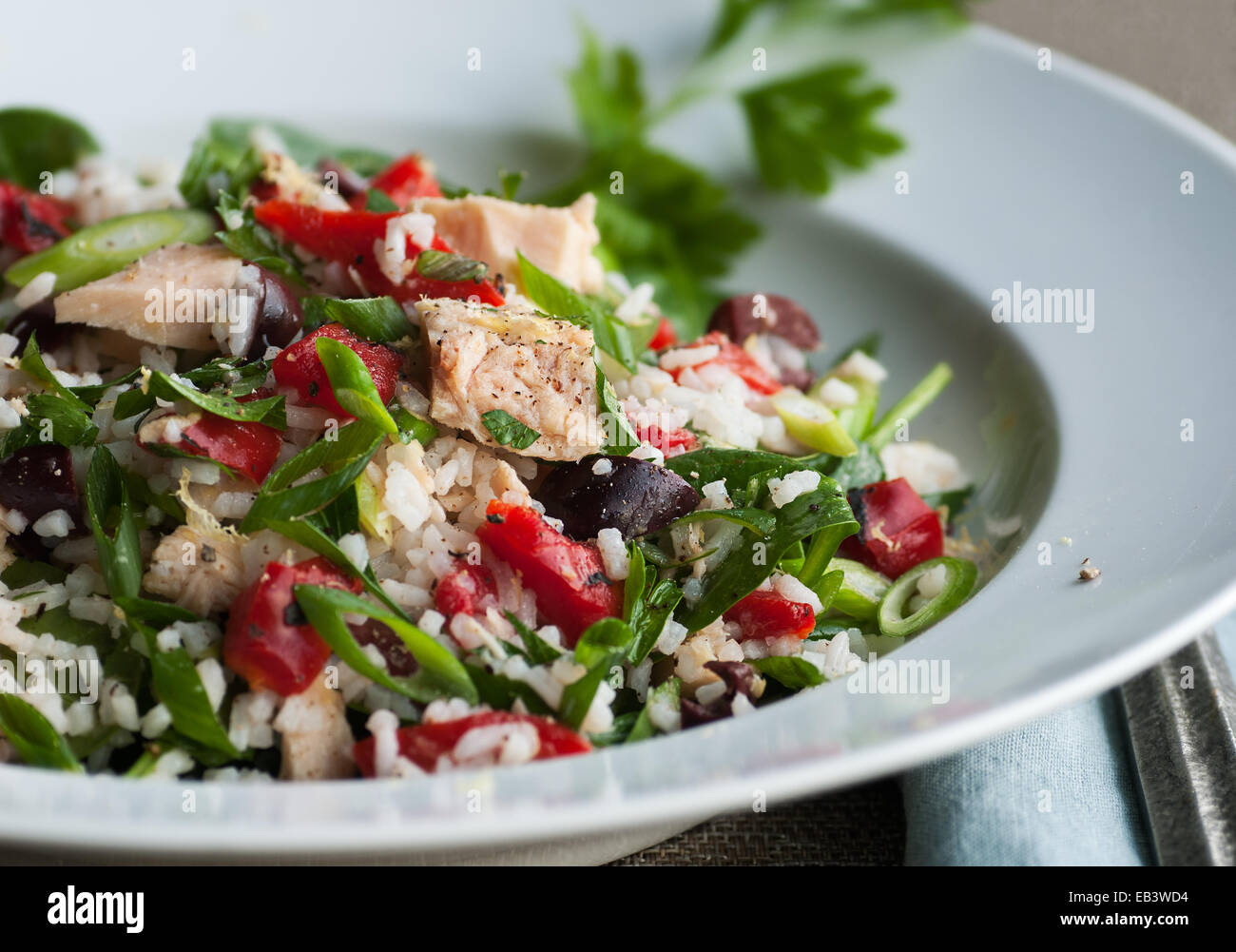 Albacore tuna salad with rice and vegetables Stock Photo