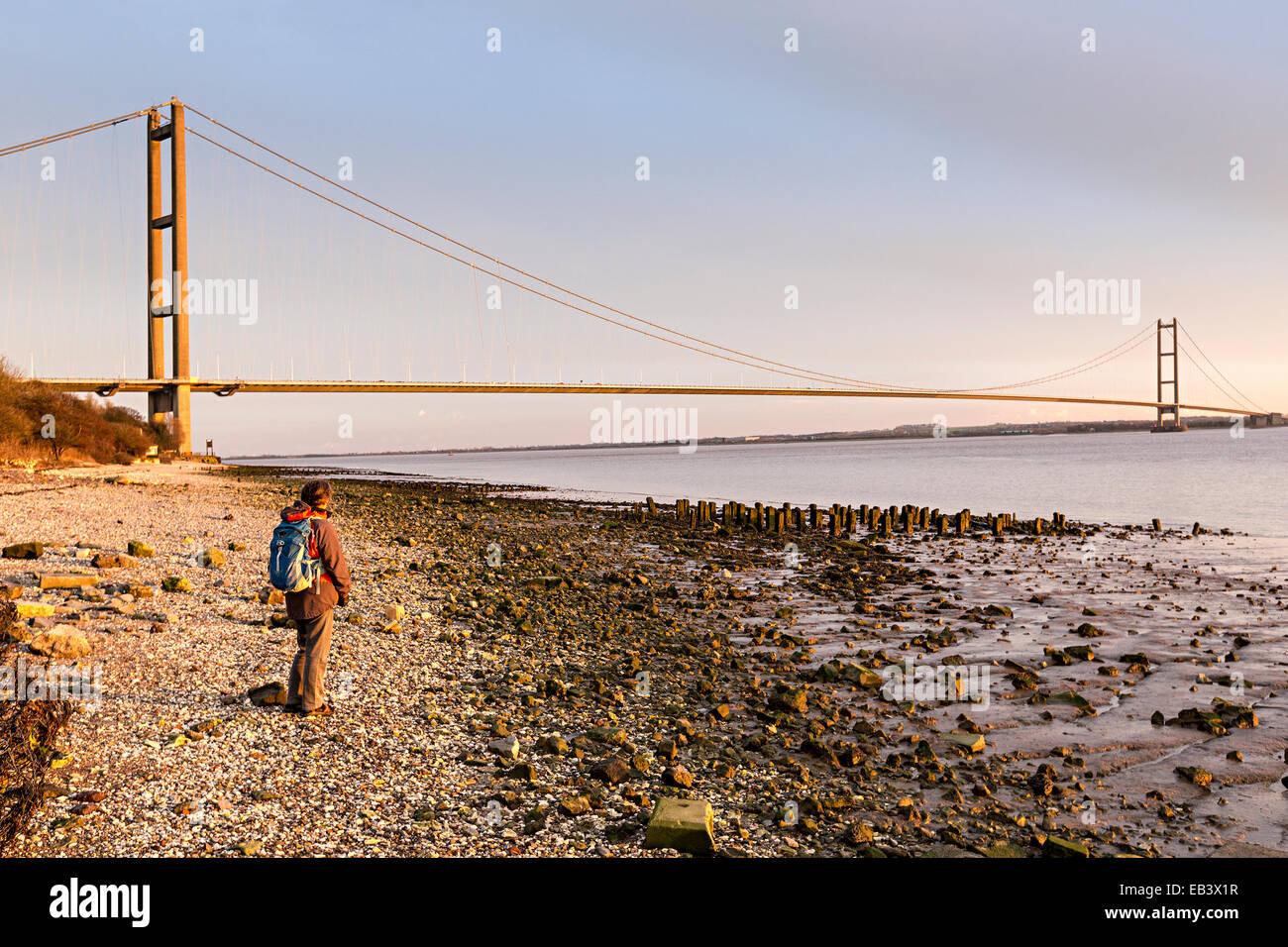 Walker on shore at Humber Bridge, England, UK Stock Photo