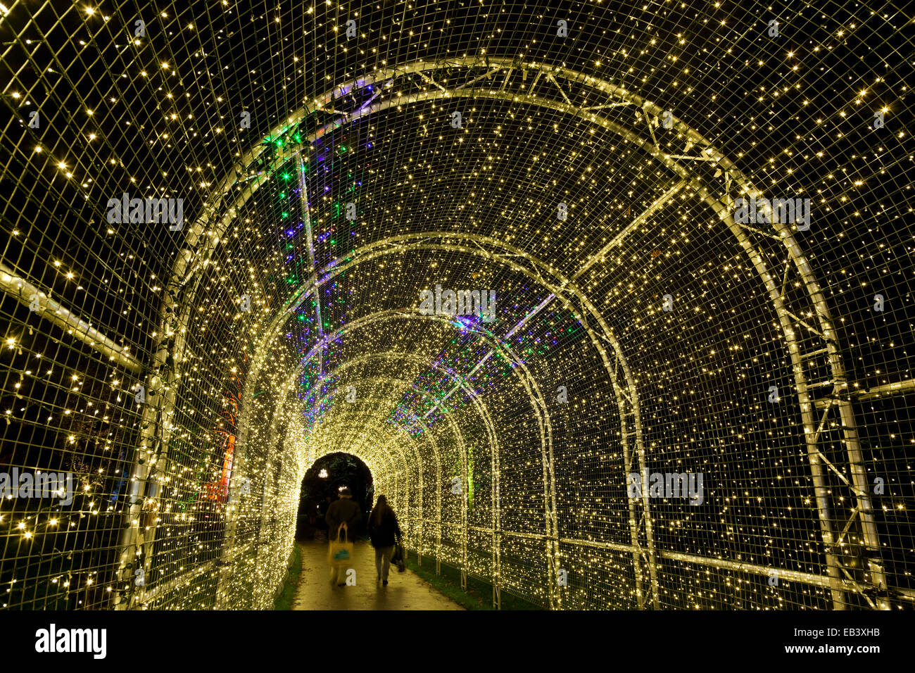 London, UK. 25 November 2014. A tunnel of lights. Press preview of the seasonal illuminations lighting Kew Gardens after dark. Kew Gardens opens a new trail for the 2014 Christmas period (26 November 2014 to 3 January 2015) with illuminated buildings such as the Palm House, a fire garden and a tunnel of lights. There is also a series of botanically inspired, large scale light installations, created by French design studio TILT. Visitors can purchase tickets for the evening entrance from 5pm to 10pm. Credit:  Nick Savage/Alamy Live News Stock Photo