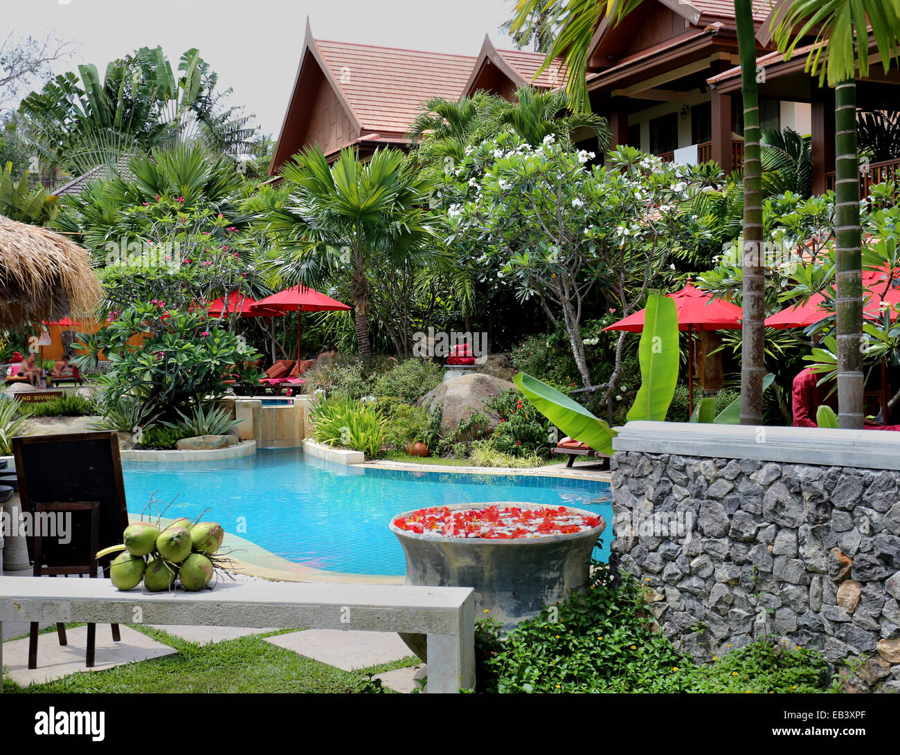 Red swimming pool thailand hi-res stock photography and images - Alamy