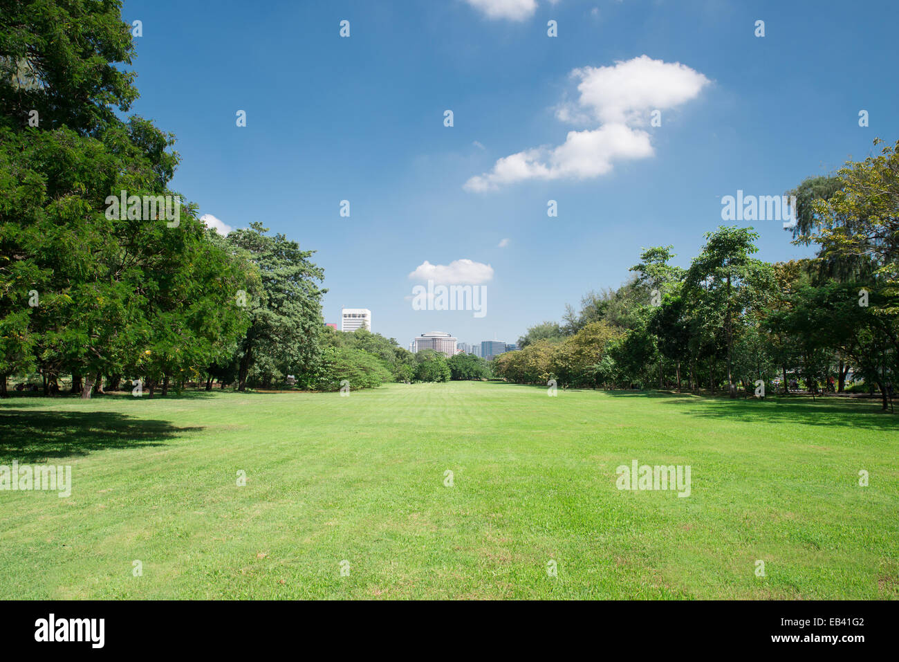 city park with modern building background Stock Photo