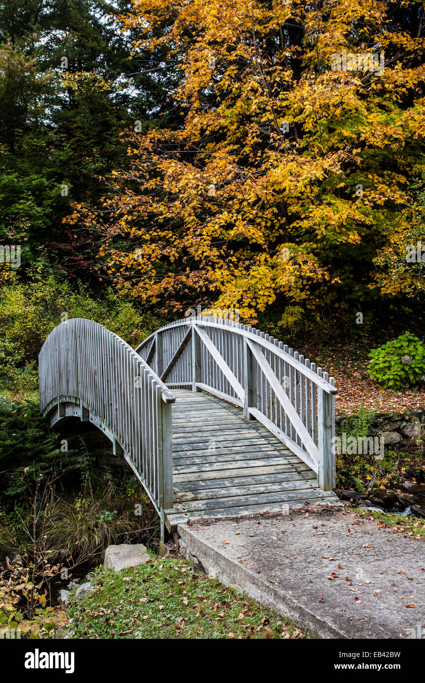 Arched walking bridge over stream and pond with colorful autumn trees