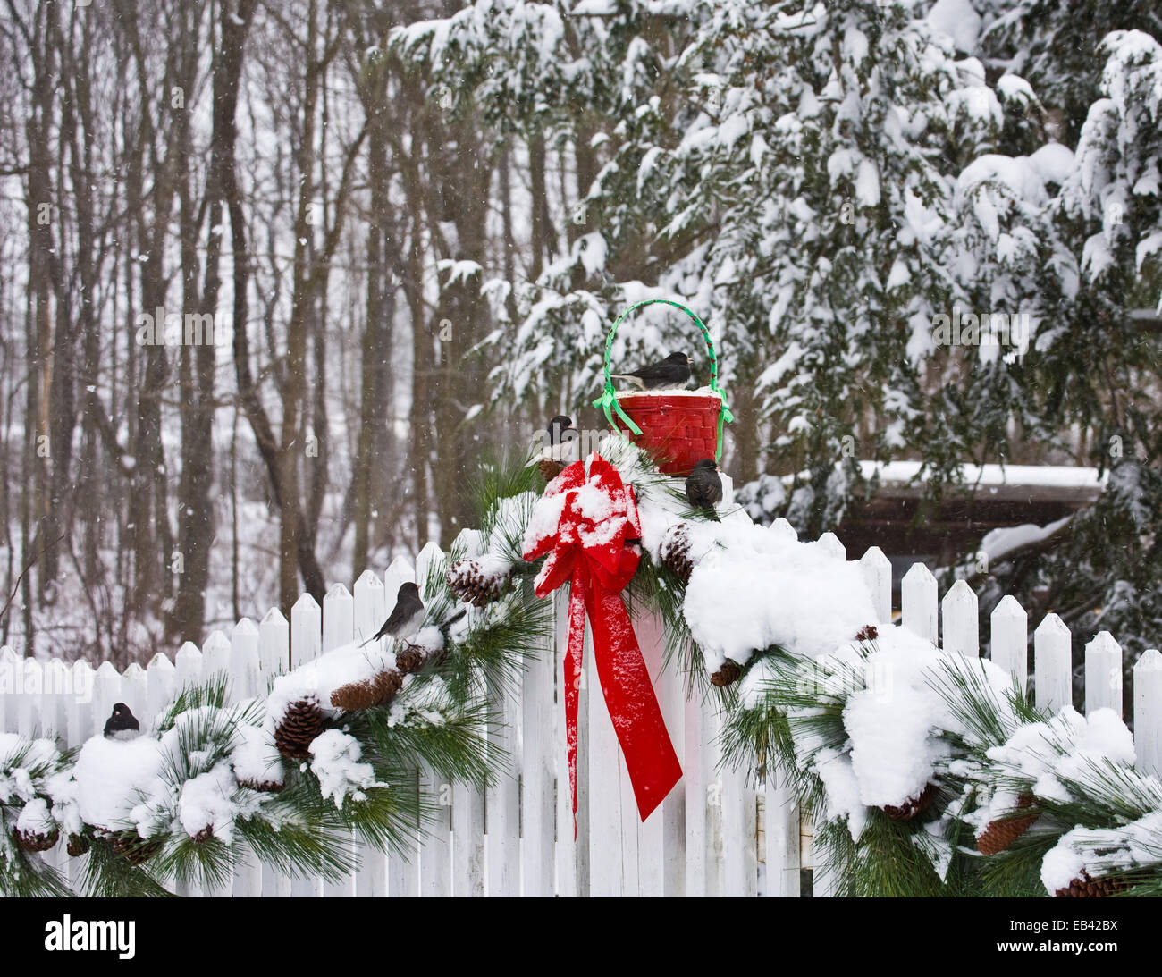 Cute winter snow scene red Christmas garden garland bow, white picket