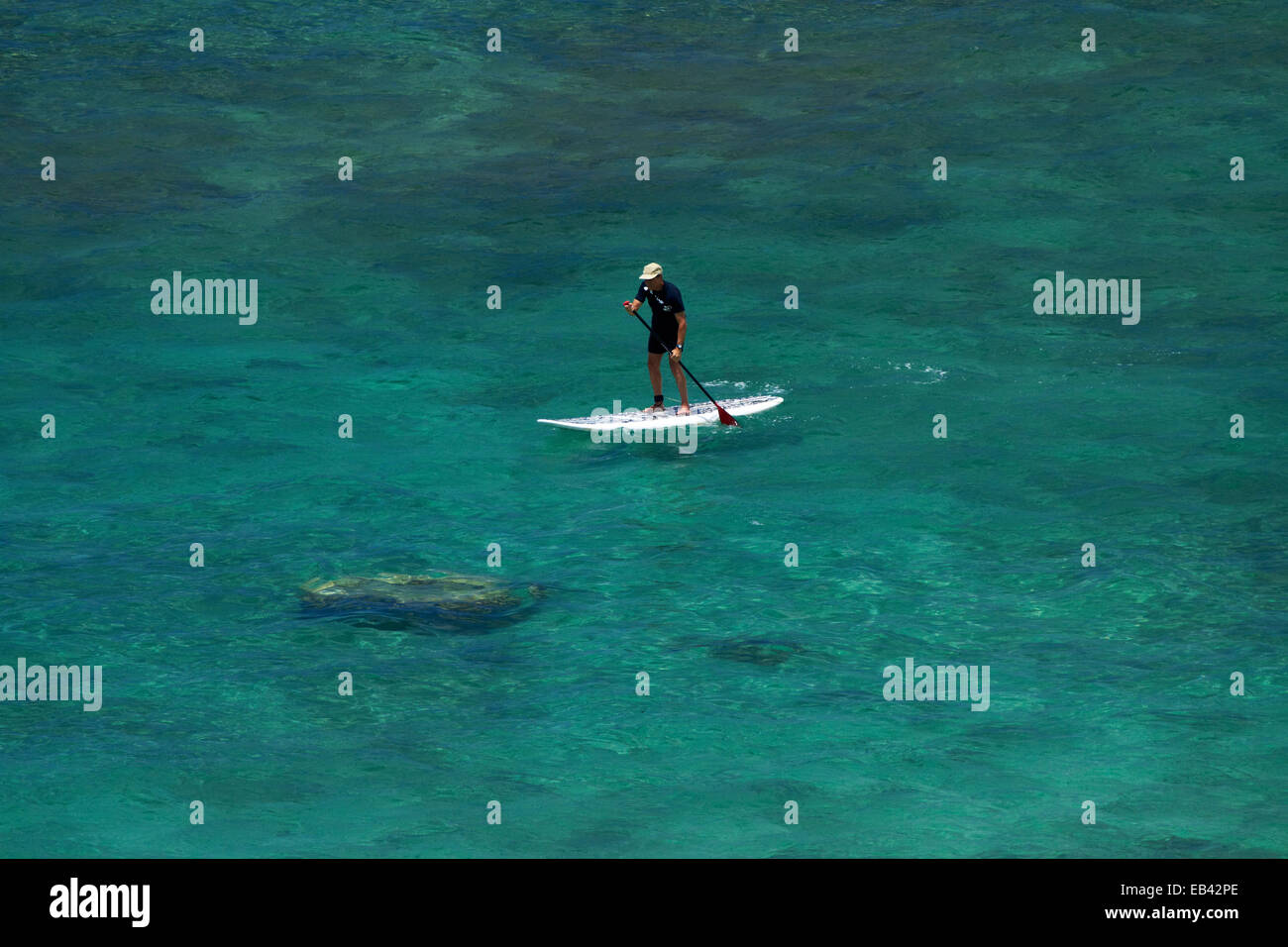 Stand up paddle boarder, Waikiki, Honolulu, Oahu, Hawaii, USA Stock Photo