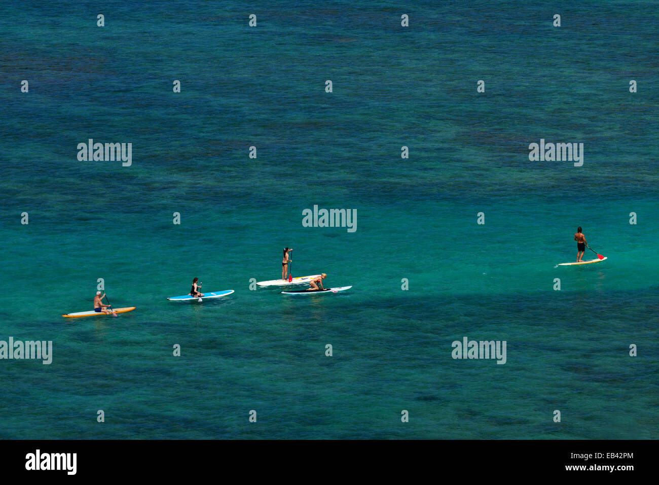 Stand up paddle boarders, Waikiki, Honolulu, Oahu, Hawaii, USA Stock Photo