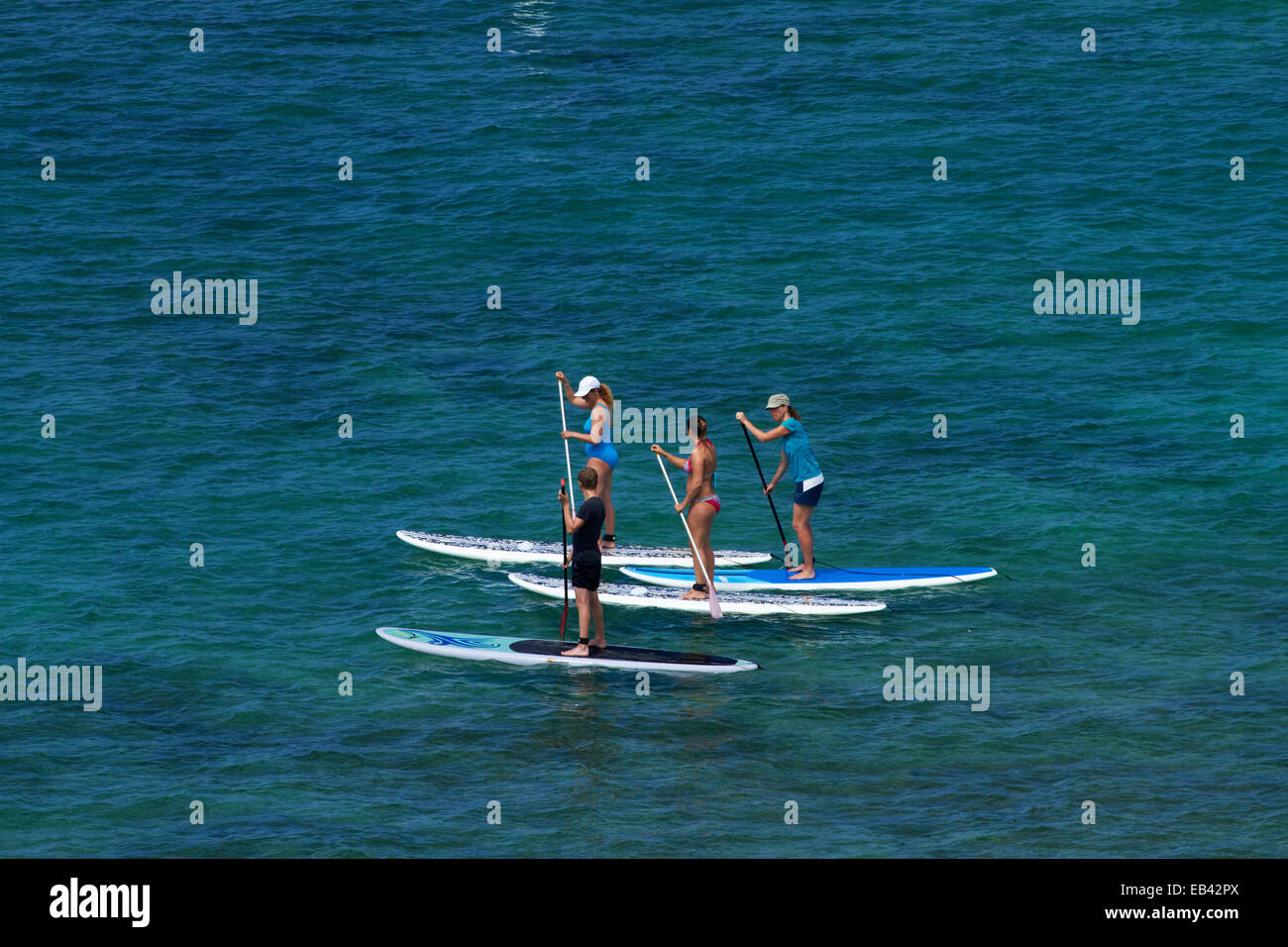 Stand up paddle boarders, Waikiki, Honolulu, Oahu, Hawaii, USA Stock Photo