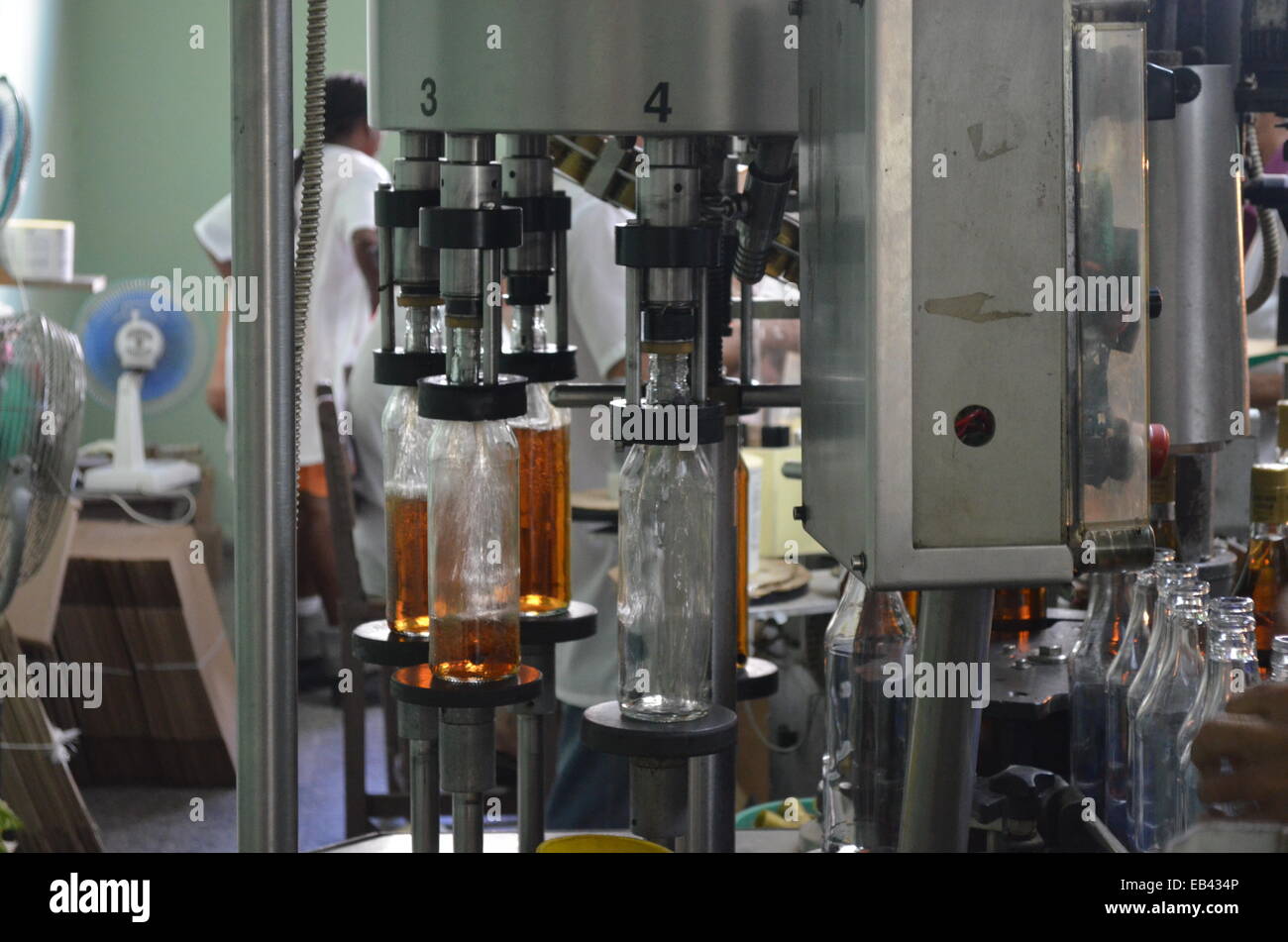 https://c8.alamy.com/comp/EB434P/a-rum-bottling-plant-in-the-pinar-del-rio-state-of-cuba-EB434P.jpg
