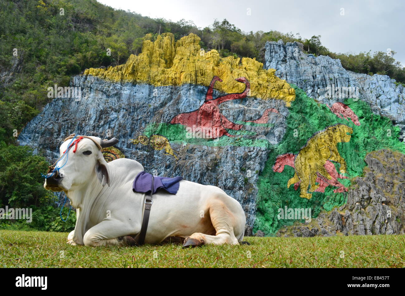 Mural de la Prehistoria, a giant mural painted on a cliff face in the Vinales area of Cuba. Stock Photo