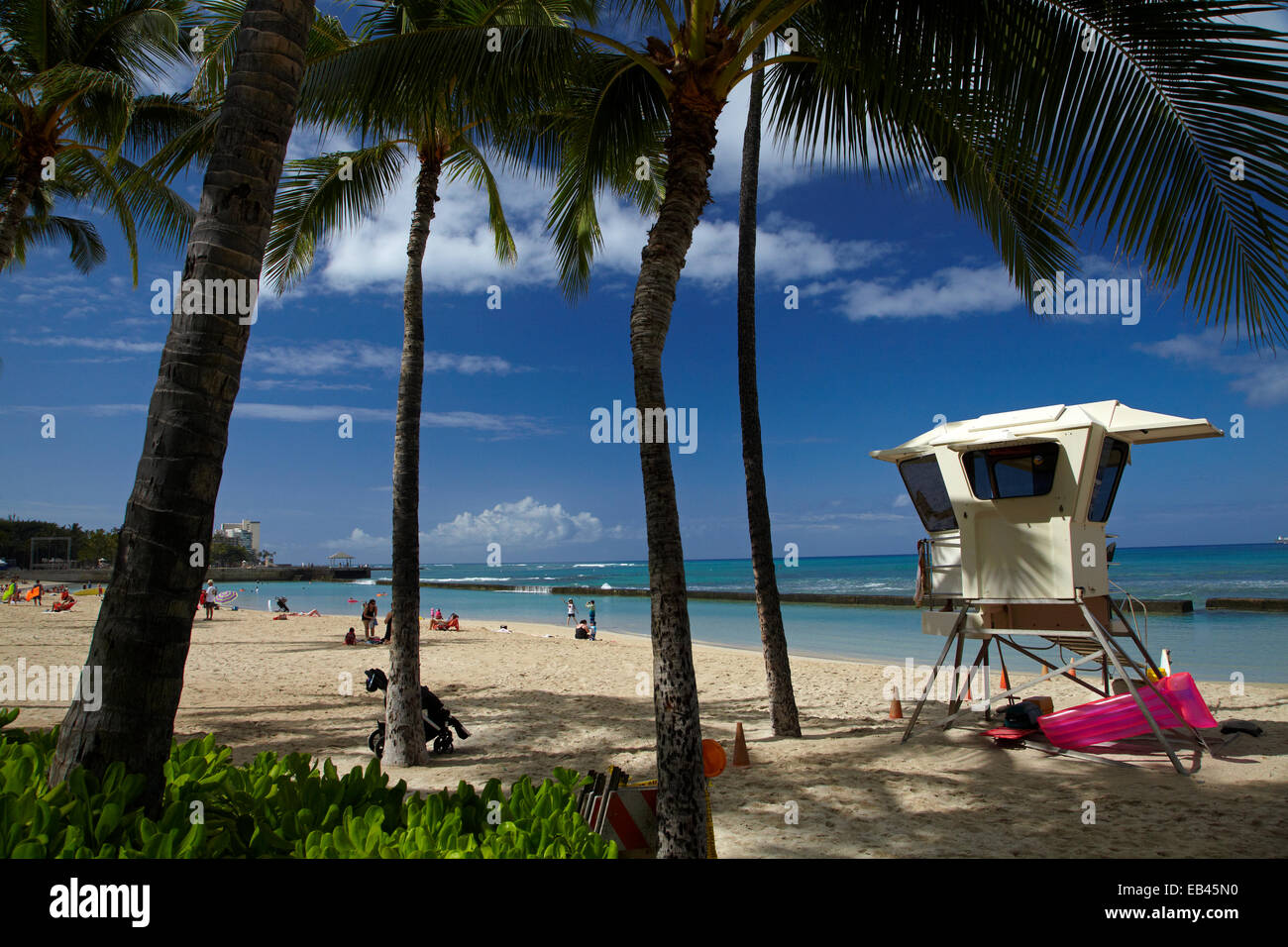 Honolulu beach palm trees hi-res stock photography and images - Alamy