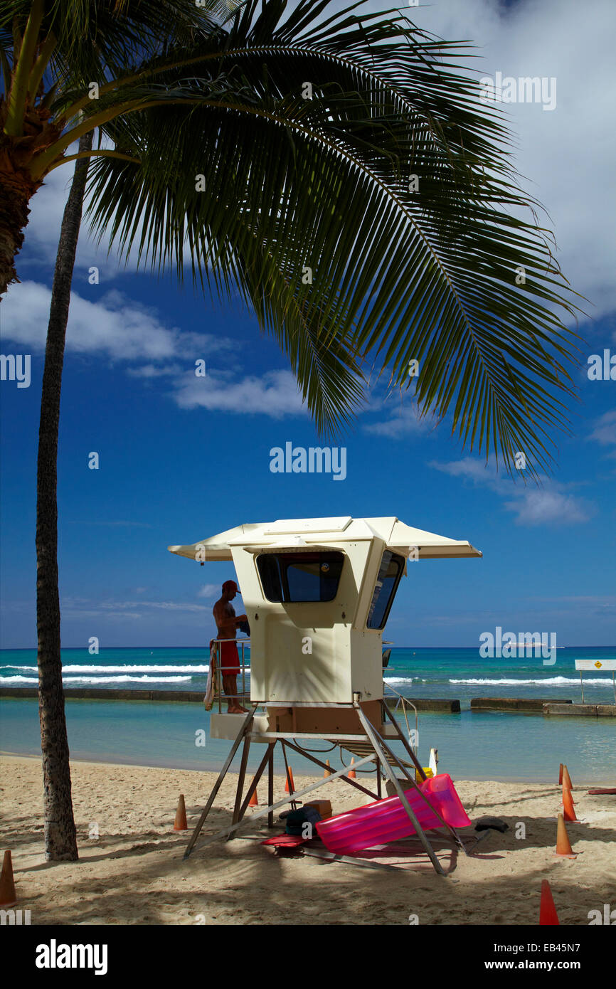 Palm trees and beach huts hi-res stock photography and images - Alamy