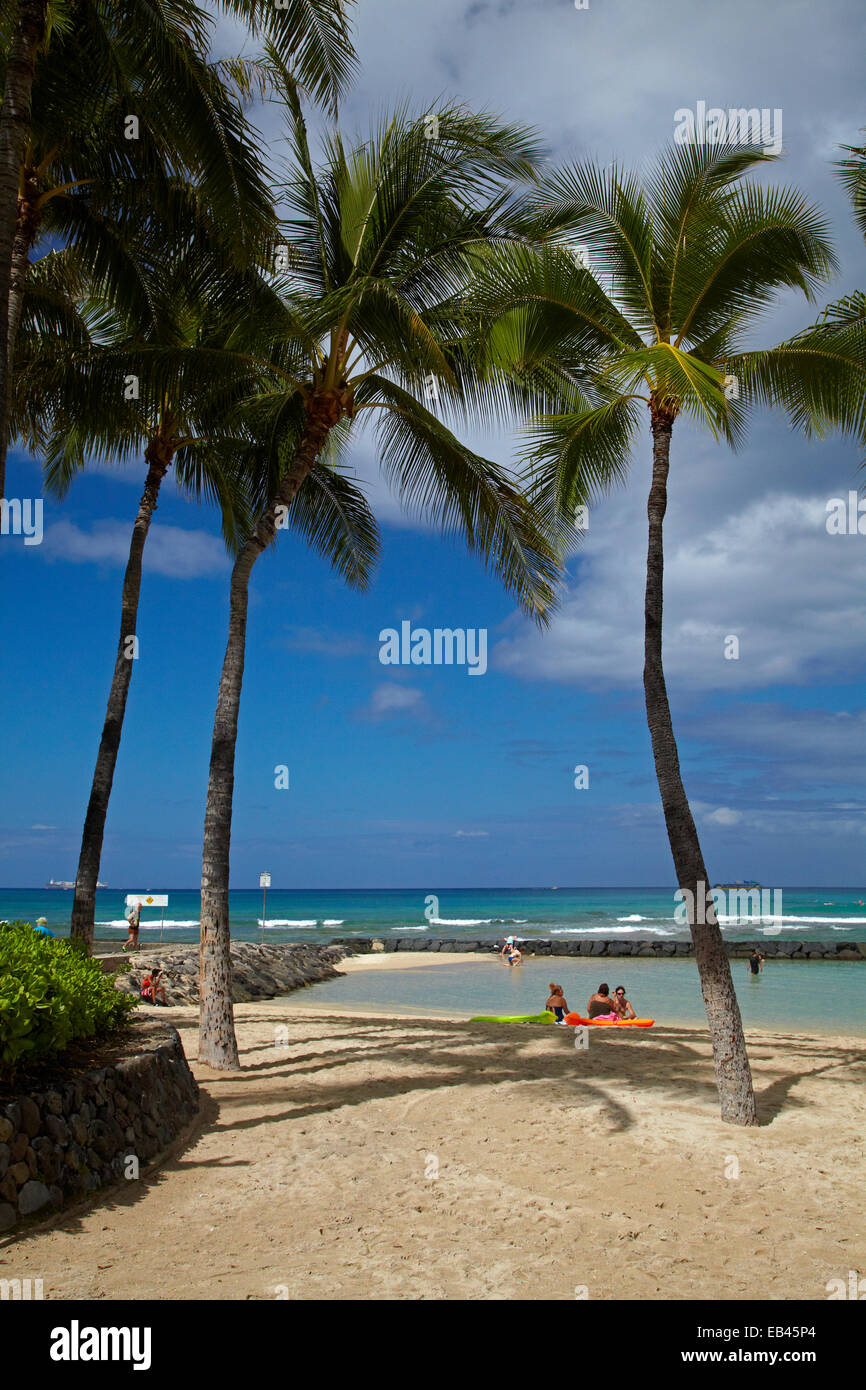Hawaii beaches palm trees hi-res stock photography and images - Alamy