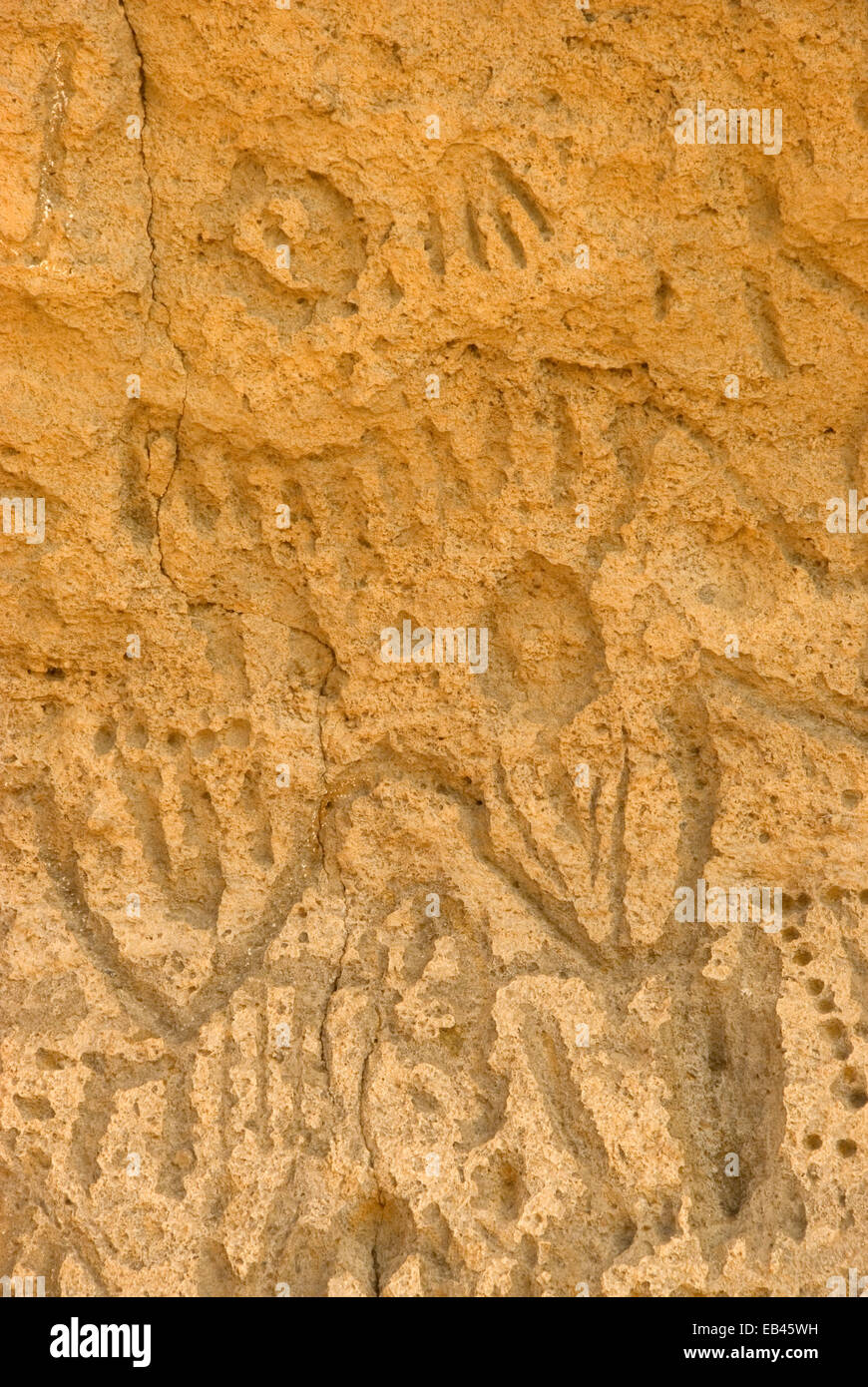 Petroglyphs, Lava Beds National Monument, California Stock Photo Alamy