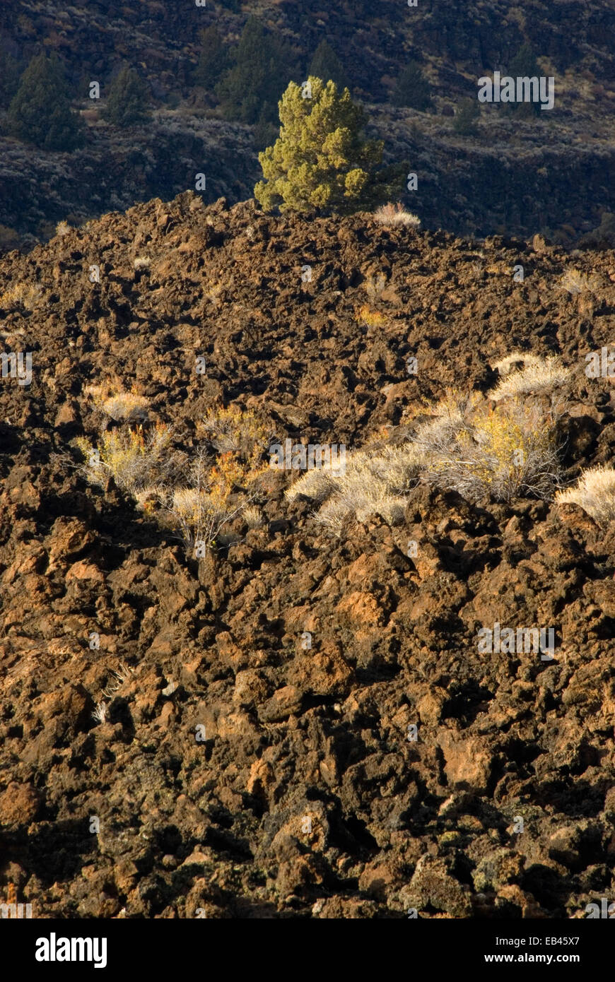 Devils Homestead Lava Flow, Lava Beds National Monument, California