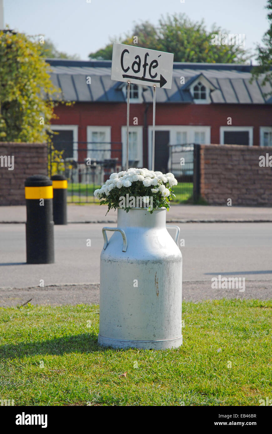 flowers in milk churn with cafe sign Stock Photo Alamy
