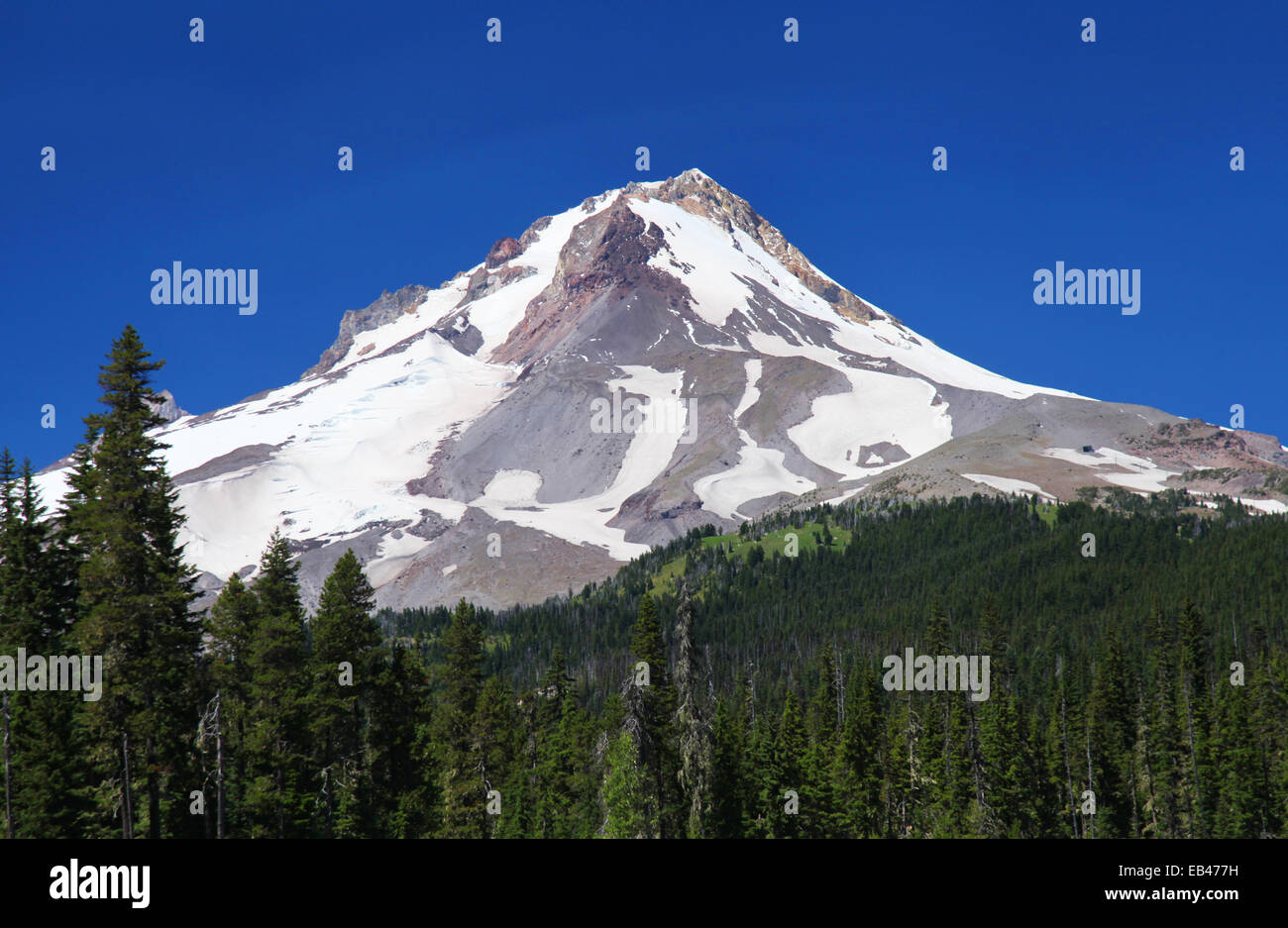 Mount Hood in Oregon Stock Photo