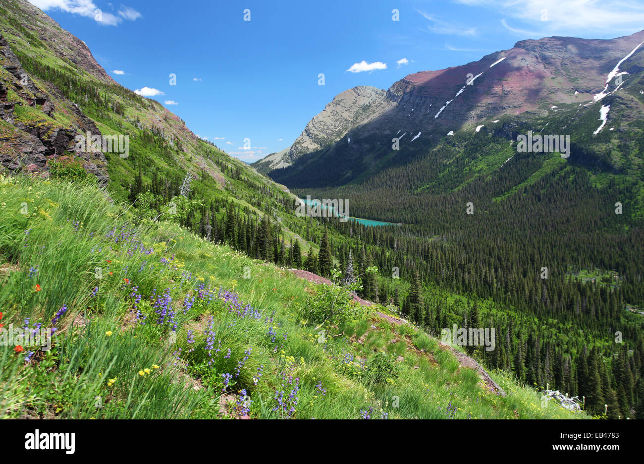 Glacier National Park Hi res Stock Photography And Images Alamy glacier-national-park-hi-res-stock-photography-and-images-alamy