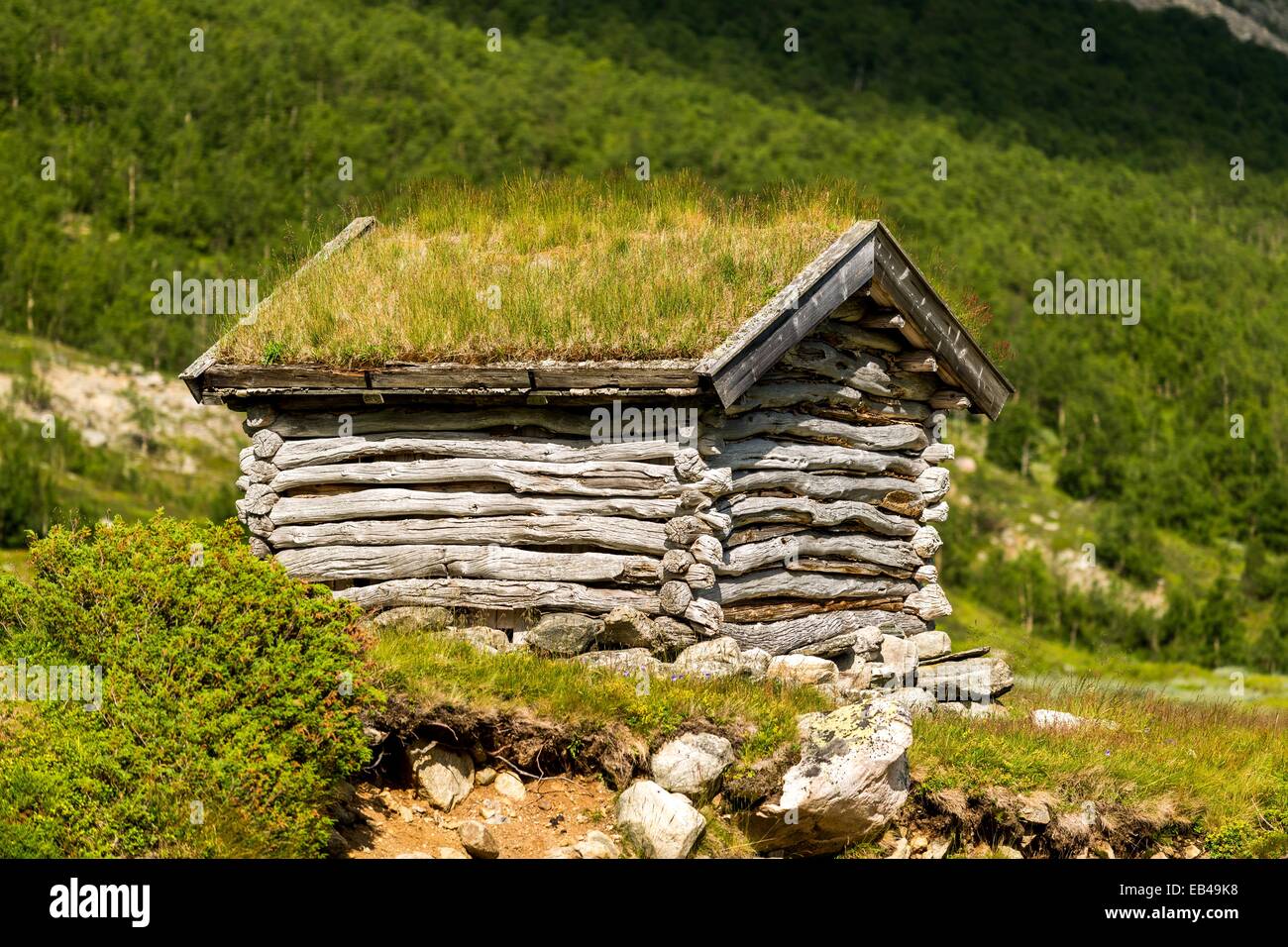 Typical Scandinavian latrine in the distant valley. Hemsedal, Norway