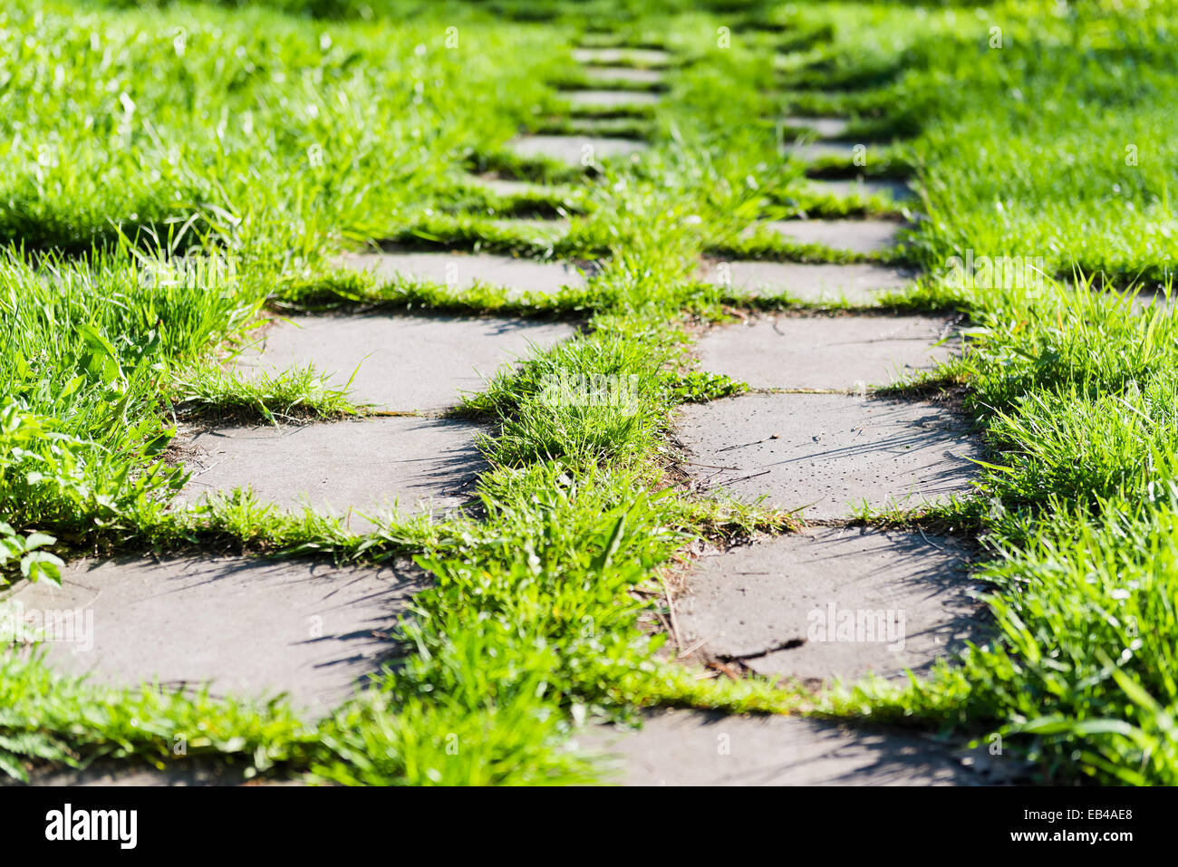 footpath on th green grass in the park Stock Photo - Alamy