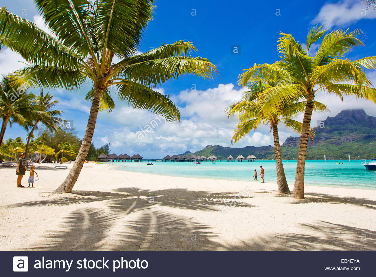 Palm Trees And Their Shadows On Bora Boras White Sand