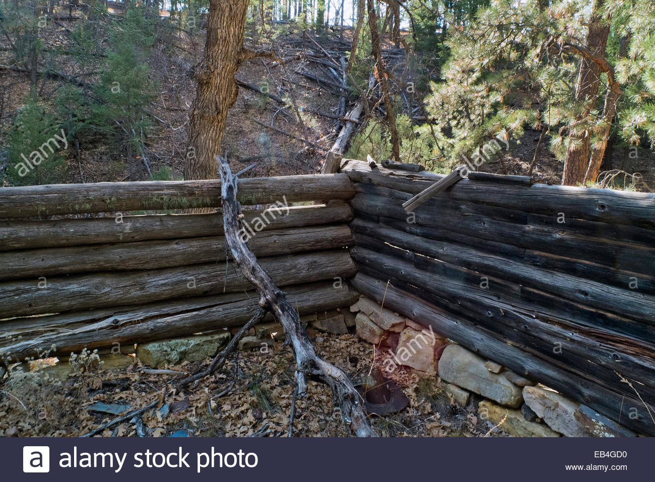 The Remains Of Secret Cabin On Secret Mountain Near Sedona
