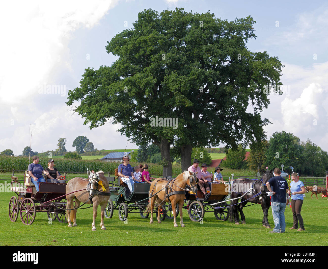 Germany Sport Athlete Horse Cart riding competition prize giving Stock