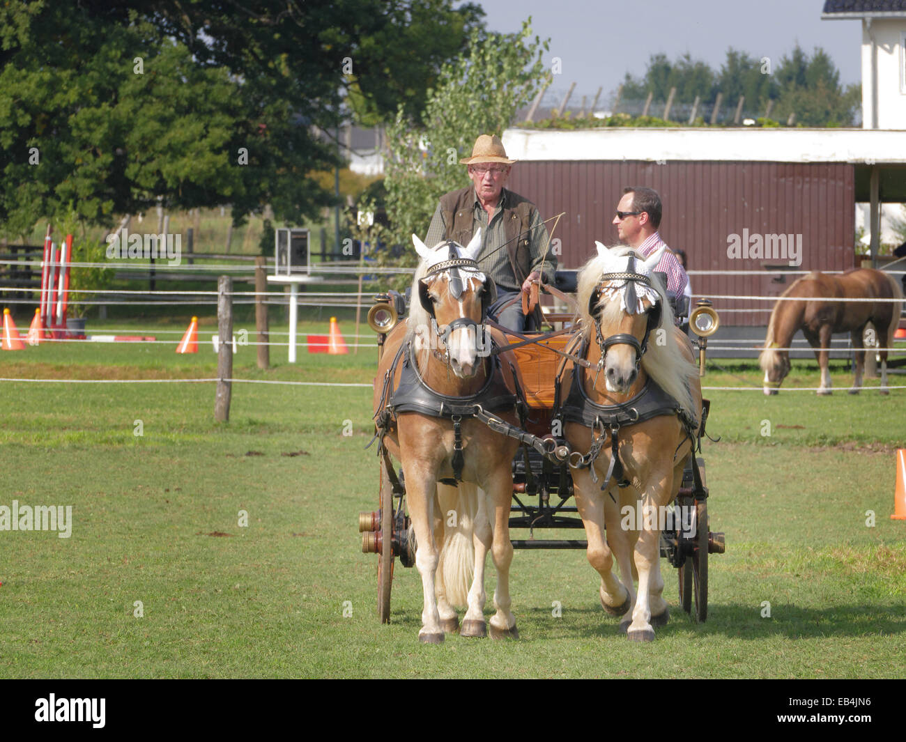 Germany Sport Athlete Horse Cart riding competition prize giving Stock