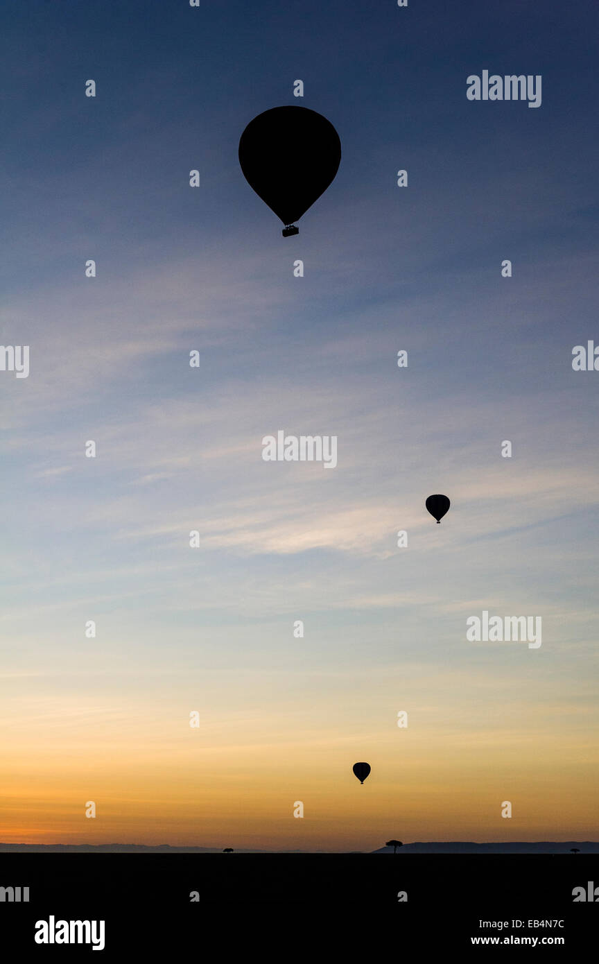 The silhouette of hot air balloons rising into the pre-dawn sky above the dark African savannah plain. Stock Photo
