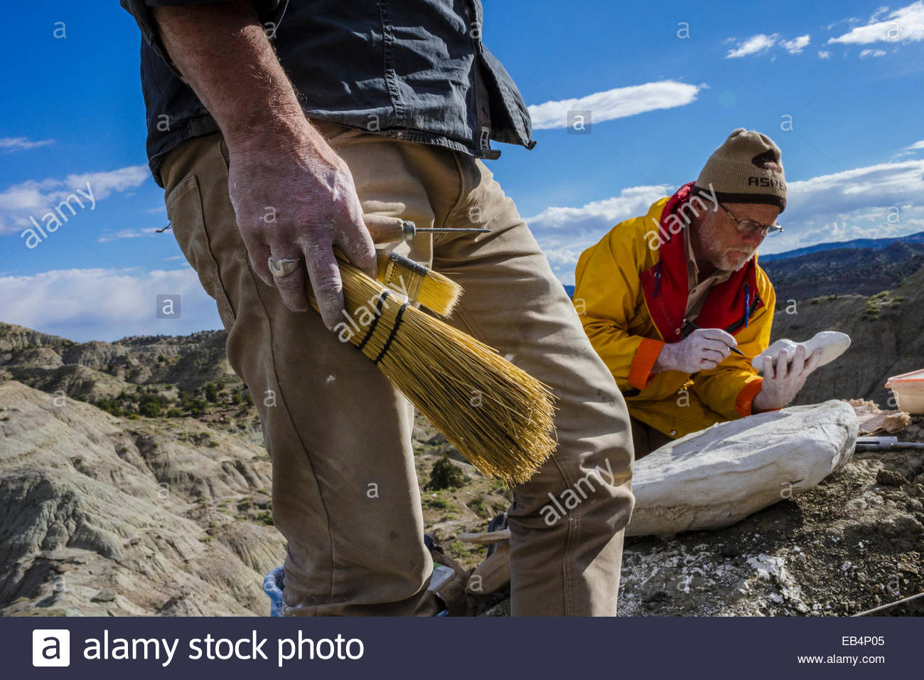 Paleontologists With Stock Photos & Paleontologists With Stock Images ...