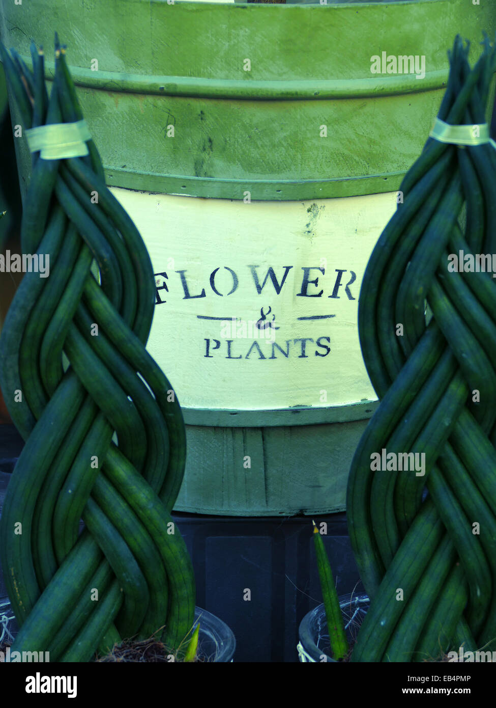 Flowers and Plants Flower shop etc Stock Photo Alamy