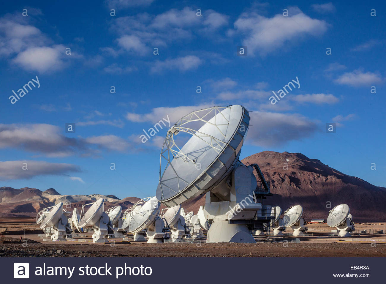 atacama large millimeter array